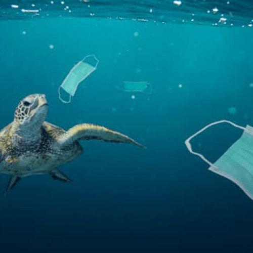 Ce putem face pentru a îmbunătăți situația?