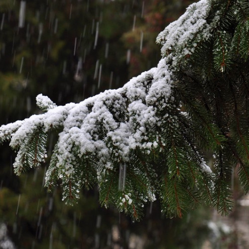 Începerea furnizării parțiale a căldurii la Miercurea-Ciuc, în contextul primelor ninsori