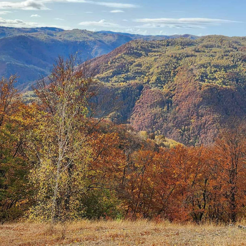 Vremea în perioada 1-14 octombrie: temperaturi în creștere și ploi în a doua jumătate a intervalului