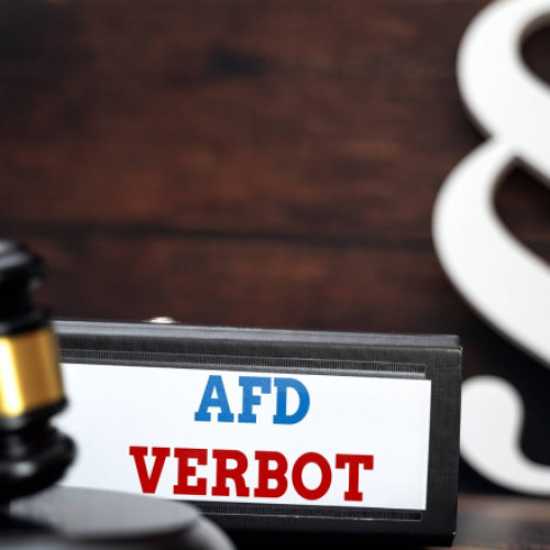 Parlamentarii germani discută despre inițierea procesului de interzicere a partidului Alternativa pentru Germania (AfD)