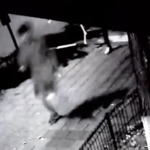 Locuitorii din Botoșani critică lipsa de reacție a autorităților în fața infracțiunilor