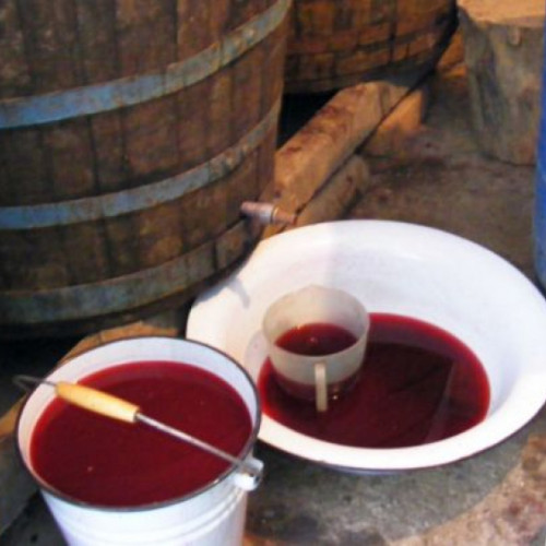 Recomandări ISU Botoșani pentru evitarea intoxicațiilor cu dioxid de carbon la fermentarea vinului
