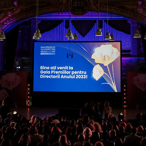 O profesoară din Botoșani a fost nominalizată la Gala Premiilor pentru Directorii Anului 2024