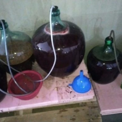 Otoamna aduce provocări în procesul de vinificare: Avertisment de la pompieri