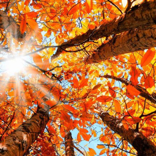 ANM prezintă prognoza meteo pentru perioada 1-28 octombrie