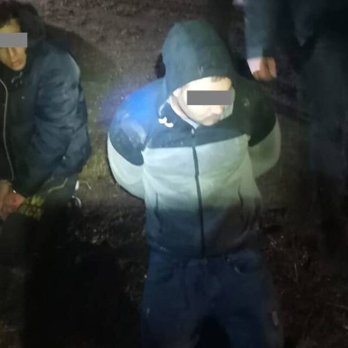 Trei tineri reținuți pentru furt calificat în Botoșani