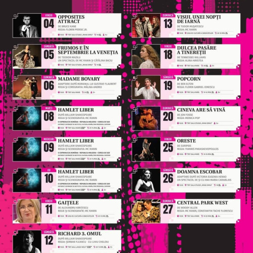 Luna octombrie aduce spectacole extraordinare la Teatrul Tony Bulandra din Târgoviște