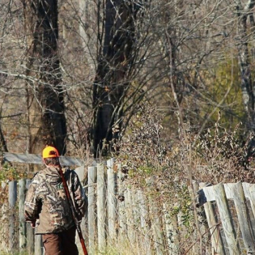 Botoșănean reținut pentru amenințări cu moartea la adresa pădurarilor