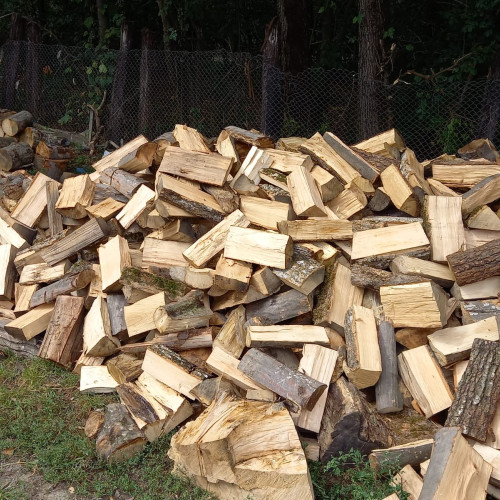 Primăria Botoșani oferă lemne pentru foc în sezonul rece 2024 - 2025