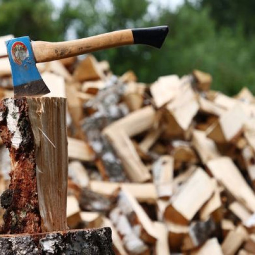 Primăria Botoșani pregătește furnizarea de lemne pentru foc în sezonul rece 2024 - 2025