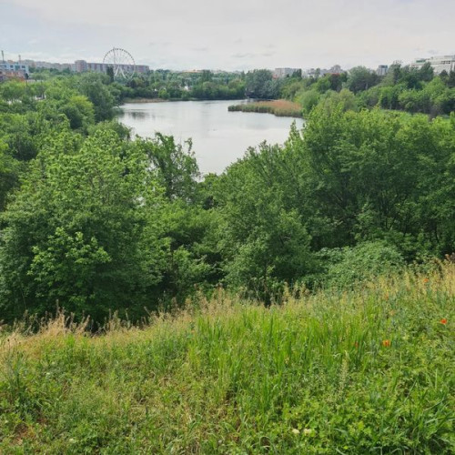 Pajistea Petricani ar putea deveni arie naturală protejată în București