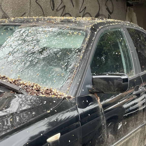 Noi dosare aprobate în programul "Rabla Plus"