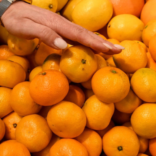 Rusia și Pakistan stabilesc un sistem de comerț prin barter