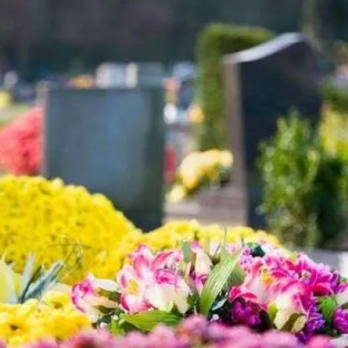 Primăria Municipiului Arad stabilește locurile pentru comerțul ambulant cu flori în perioada 1-3 noiembrie 2024