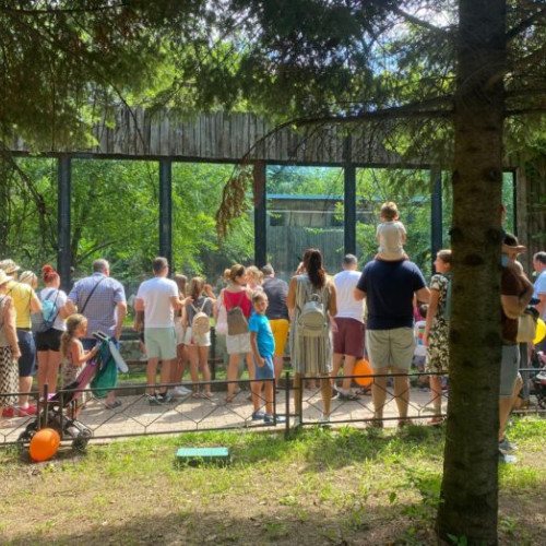 Eveniment special la Grădina Zoologică București cu ocazia Zilei Mondiale a Animalelor