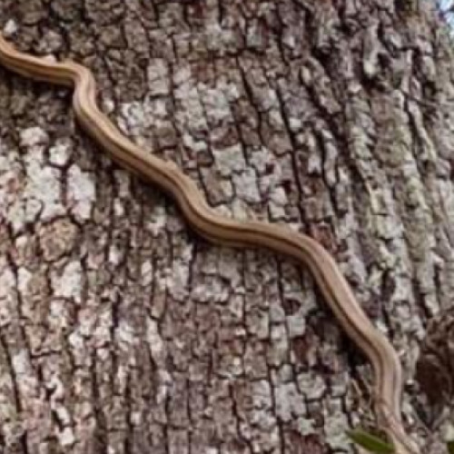 Incident terifiant pentru un clujean într-o parcare din Gherla