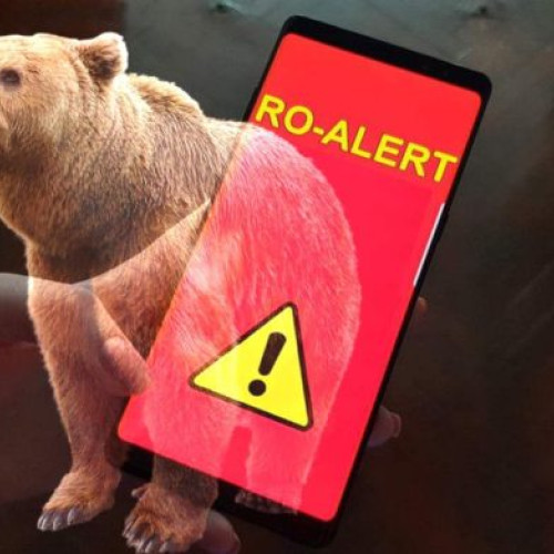 Alerte RO-ALERT în Botoșani din cauza unui urs