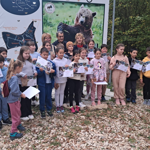 Aproape 100 de kilograme de ghindă strânse pentru ursuleții din Sanctuarul AMP Libearty