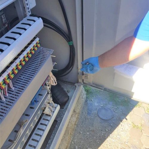 Compania Municipală Eco Igienizare începe deratizarea în sistemul de monitorizare a traficului din București