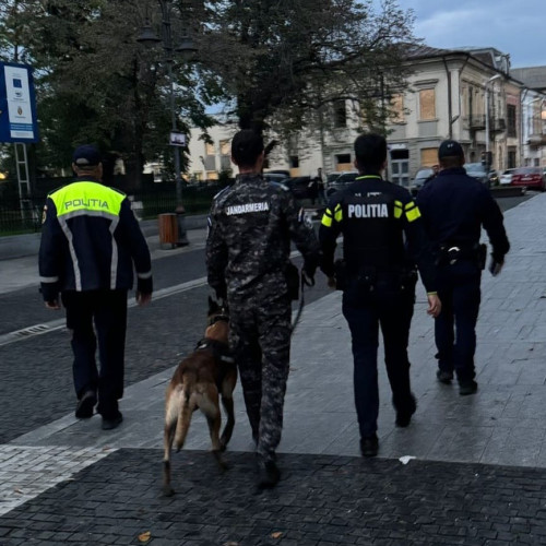Acțiune de amploare în județul Botoșani pentru prevenirea criminalității