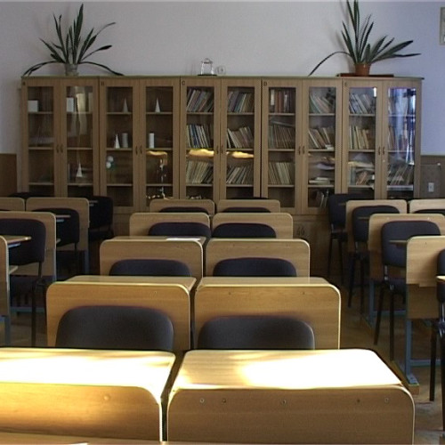 Decorarea instituțiilor de învățământ din Botoșani cu ocazia Zilei Educației