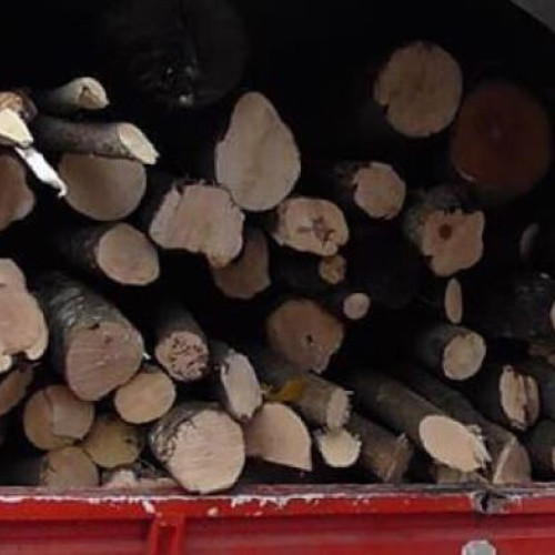 Poliția din Voila și Victoria confiscă lemn furat