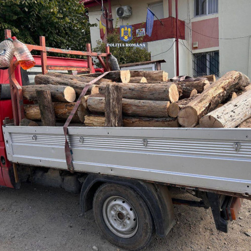 Bărbat din Drăgăești-Pământeni, sancționat pentru transport ilegal de material lemnos