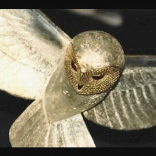 Cea mai lungă vânătoare de comori din lume s-a încheiat după 31 de ani