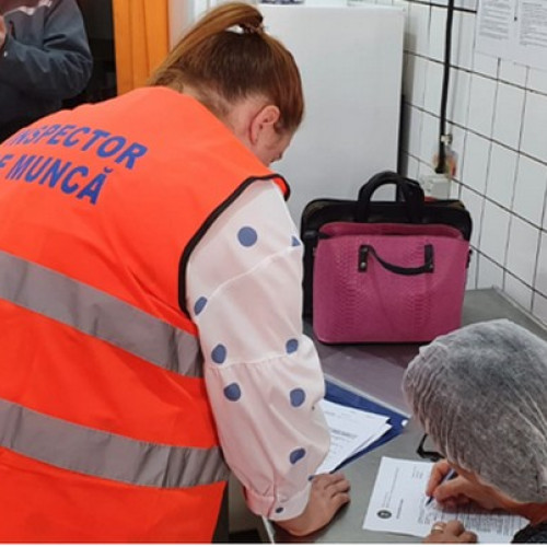 Patru botosaneni depistați muncind "la negru" în urma controalelor ITM