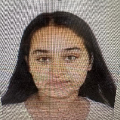 Poliția din Satu Mare caută o tânără dispărută