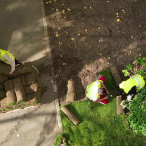 Renovarea grădinilor de bloc pe Aleea Avrig