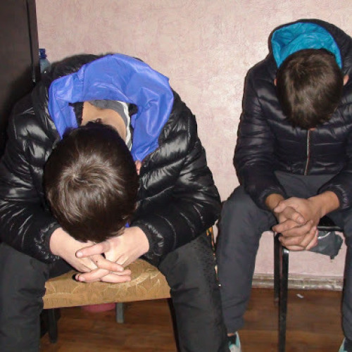 Doi tineri reținuți pentru furt și distrugere în comuna Concești