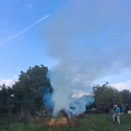 Incendierea de deșeuri în Dâmbovița: Jandarmii depistează un bărbat