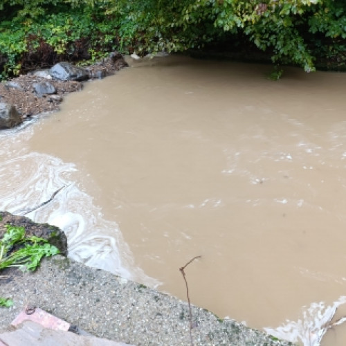 Calitatea apei din cartierul Baita afectată de exploatările forestiere