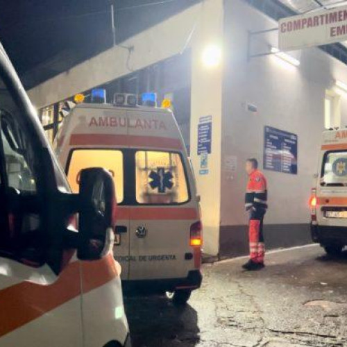 Zeci de intoxicații cu ciuperci toxice în Botoșani