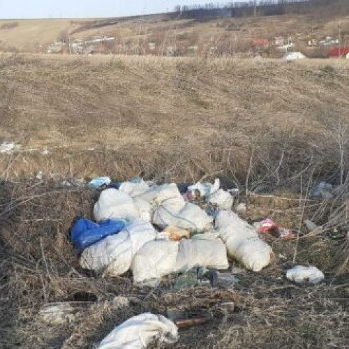 Garda de Mediu Vaslui, acțiuni de control și avertizări pentru cetățeni