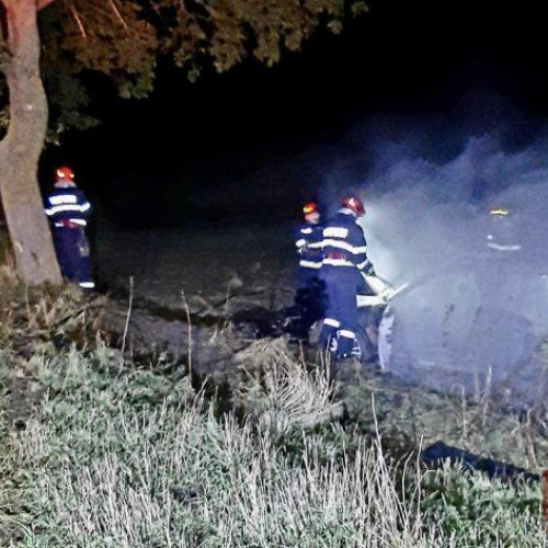 Un autoturism a luat foc după ce a lovit un copac în Ibanesti