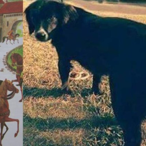 Radiografia unui sistem politic în dificultate în Maramureș