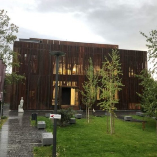 Colonia Pictorilor din Baia Mare: între realizări și controverse