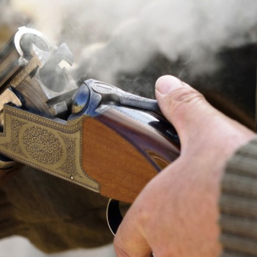 Braconaj în Vrancea: Poliția oprește transportul ilegal de carne de vânat