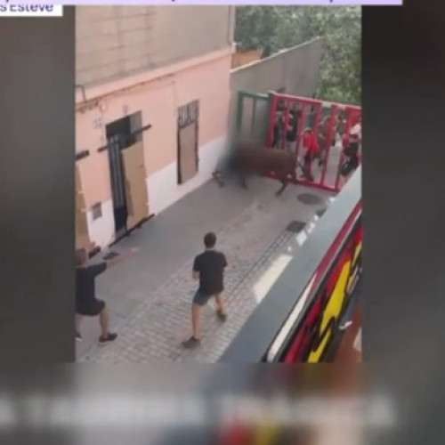 Incident grav în cadrul unei curse cu tauri în estul Spaniei