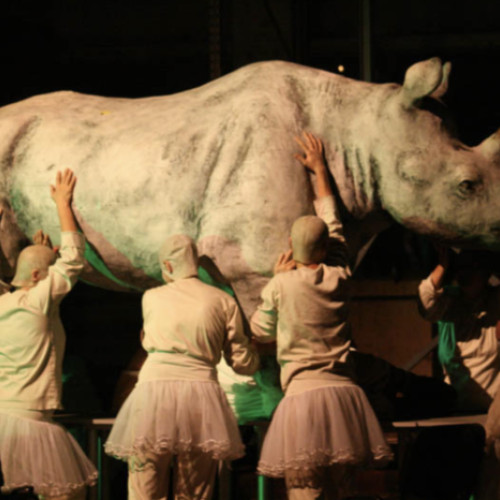 Rinocerul lui Helmut Sturmer expus pentru prima dată în Piața Amzei din București