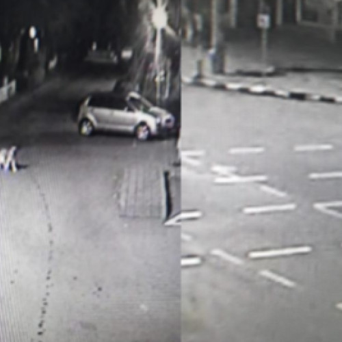 Câini fără stăpân observați de polițiști în municipiul Botoșani