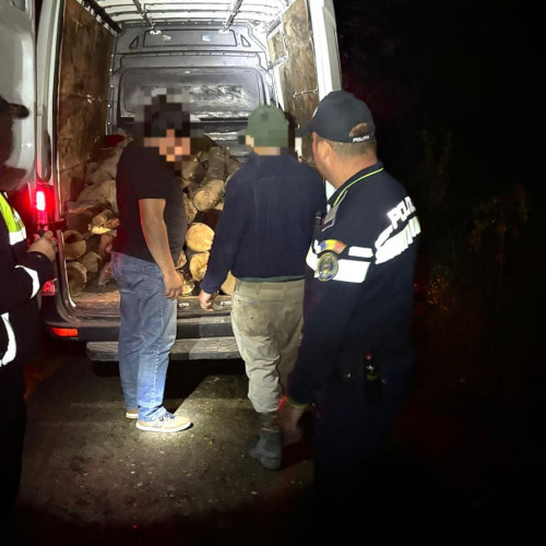 Poliția din Bucecea a confiscat material lemnos transportat ilegal