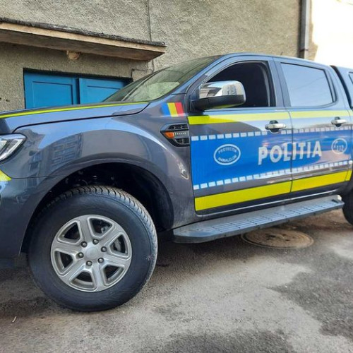 Un bărbat din Cluj, amendat pentru abandonarea a cinci pisici