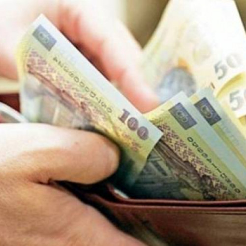 Veniturile gospodiilor din România au crescut în trimestrul al doilea din 2024