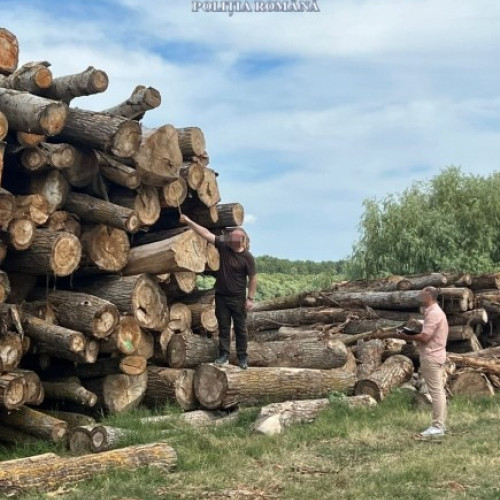 Acțiune de prevenire a ilegalităților în domeniul forestier la Tulnici