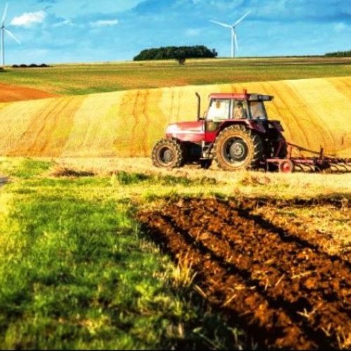 Guvernul adoptă măsuri de sprijin pentru agricultori afectați de secetă