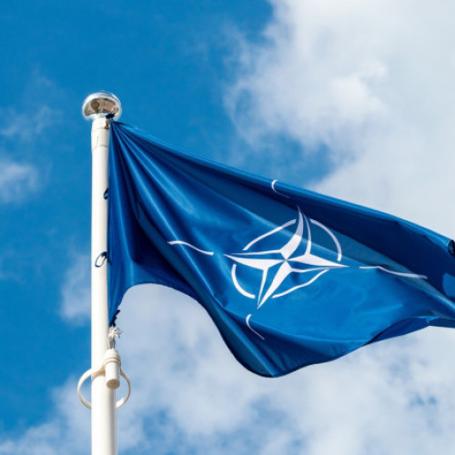 NATO intră în &quot;3.0&quot; și revine la rolul său de descurajare