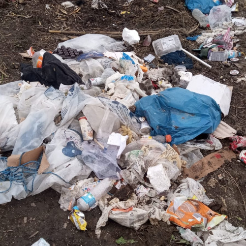 Primăria din Botoșani, amendată cu 50.000 lei pentru ilegalități legate de deșeuri